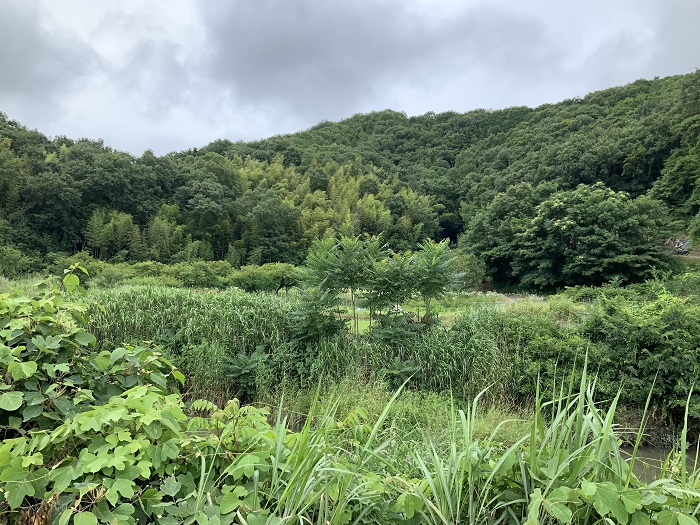 田んぼや山林の処分のご相談が増えています