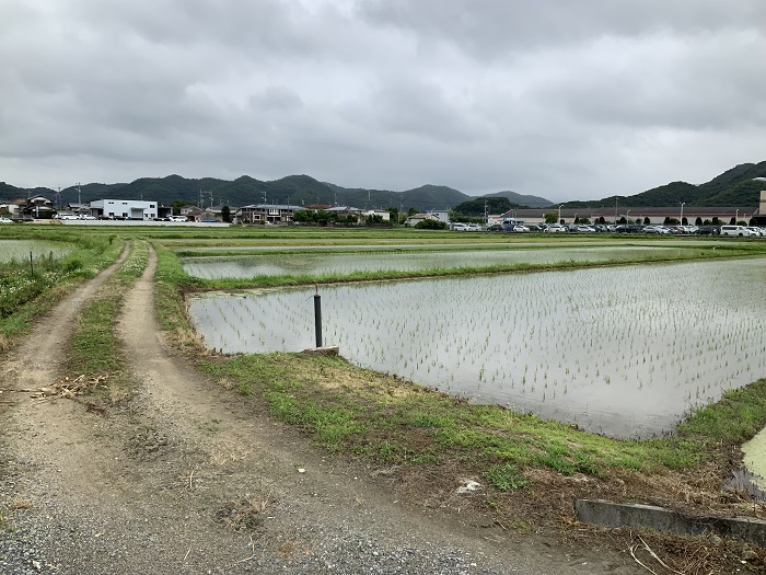 田んぼや山林の処分のご相談が増えています