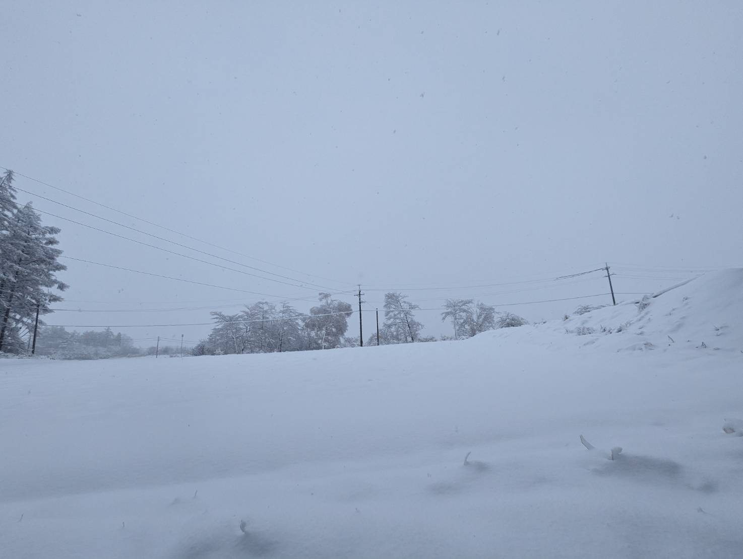 ～　査定で遠出　長野県南牧村に車で行ってきました　～