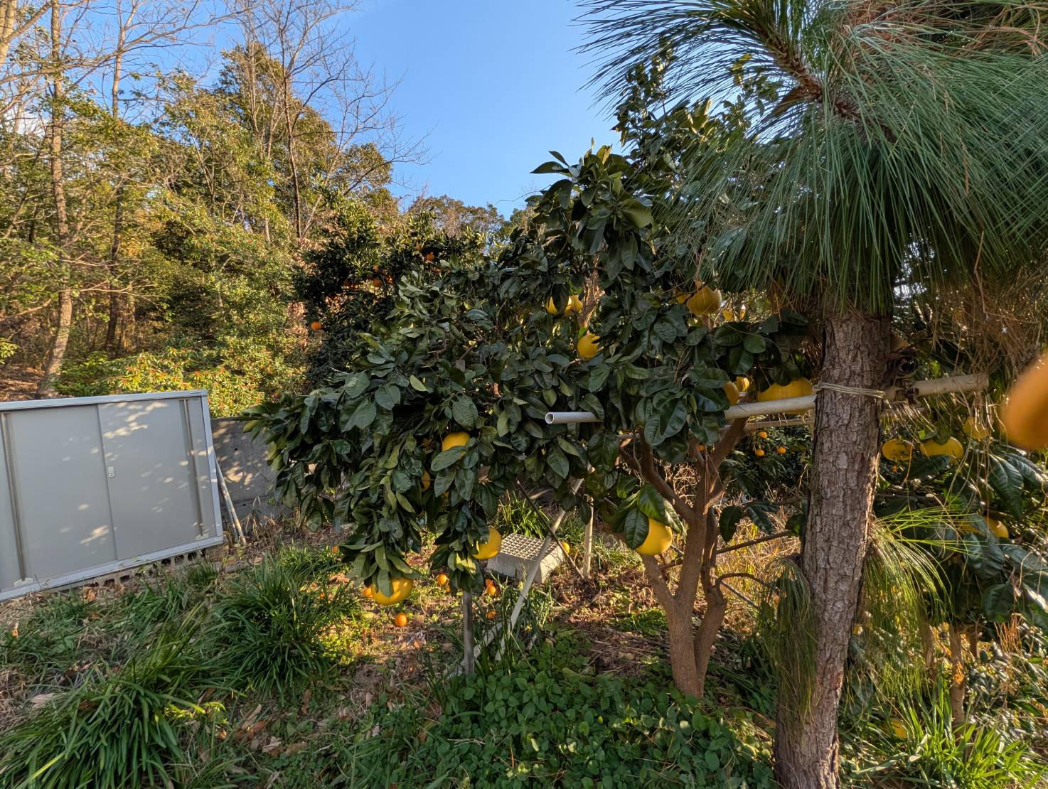 ～　岡山市にて買取りを行った住宅　～