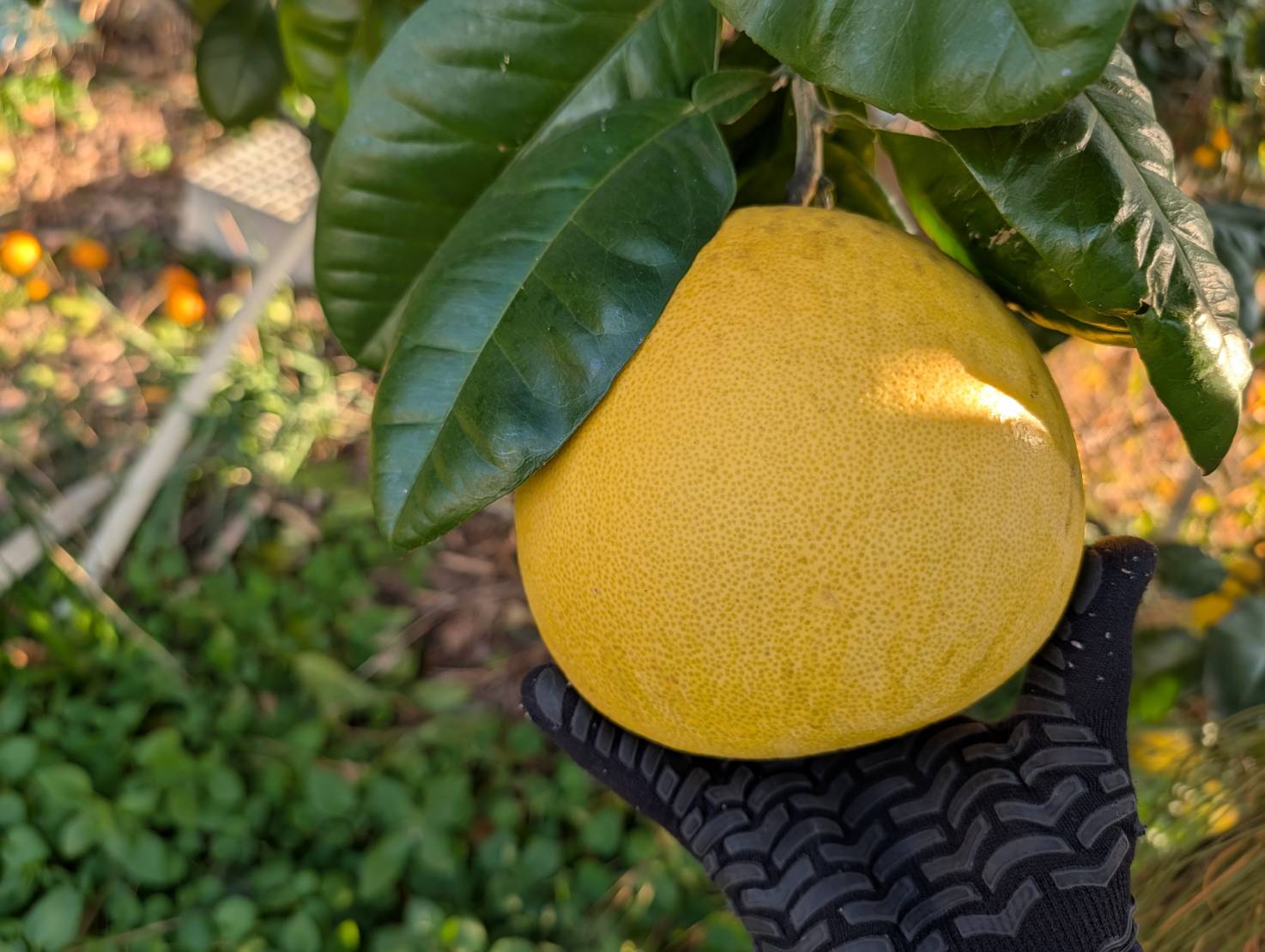 ～　岡山市にて買取りを行った住宅　～