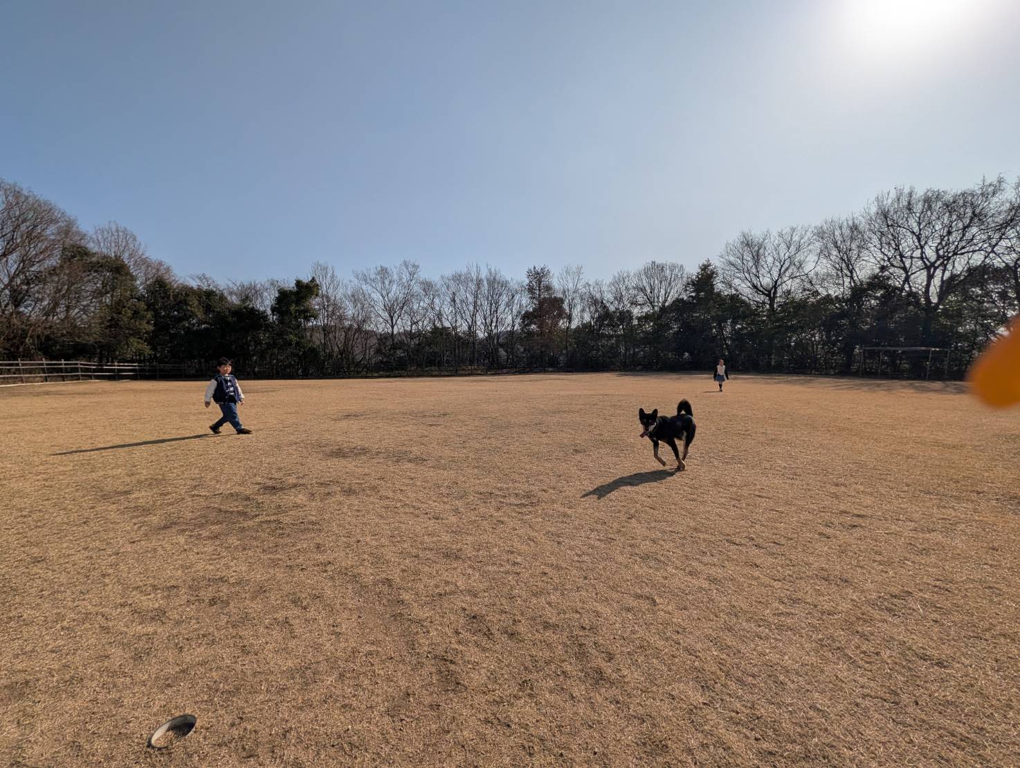 ～　「ドイツの森」で犬を遊ばせる　～