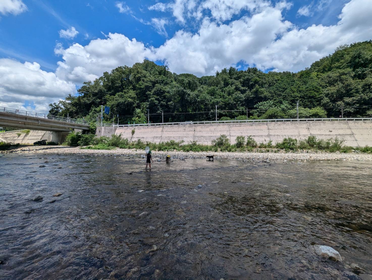 ～　子供が夏休みに入り、高梁川で川遊び　～