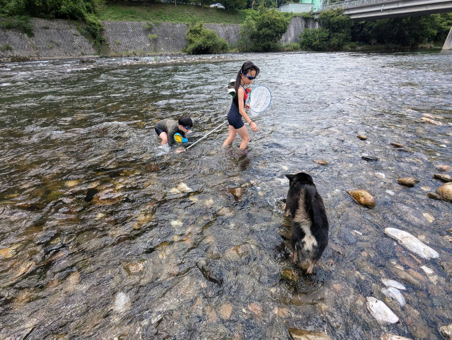～　子供が夏休みに入り、高梁川で川遊び　～
